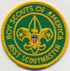 Assistant Scoutmaster image