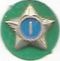 Boy Scout Service Star Year 1 image