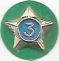 Boy Scout Service Star Year 3 image
