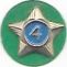 Boy Scout Service Star Year 4 image