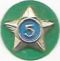 Boy Scout Service Star Year 5 image