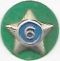 Boy Scout Service Star Year 6 image