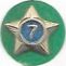 Boy Scout Service Star Year 7 image