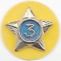 Cub Scout Service Star Year 3 image